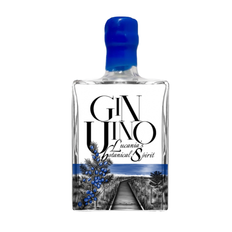 Gin GinUino 50cl