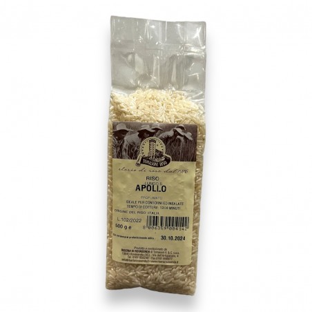Longcorn Rice Apollo